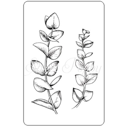 Eucalyptus Sprigs Stamp DL (Small) by Sweet Poppy Stencils