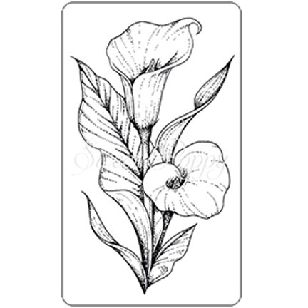 Calla Lily DL Stamp (Small) by Sweet Poppy Stencils