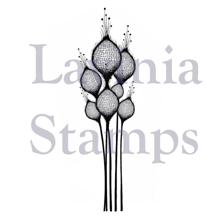 Fairy Thistles by Lavinia Stamps