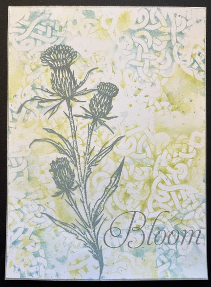 "Sweet Poppy Thistle Card With Celtic Star Background" Video Tutorial