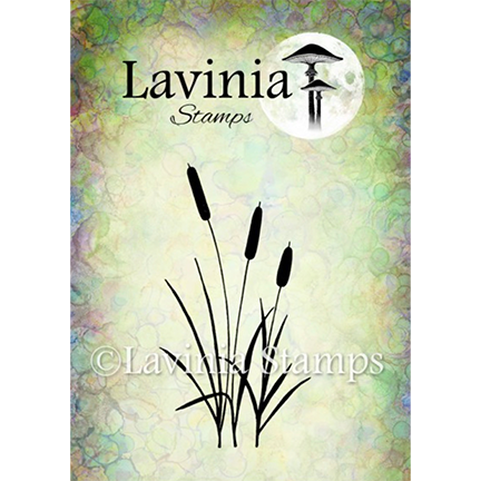 Bulrushes by Lavinia Stamps