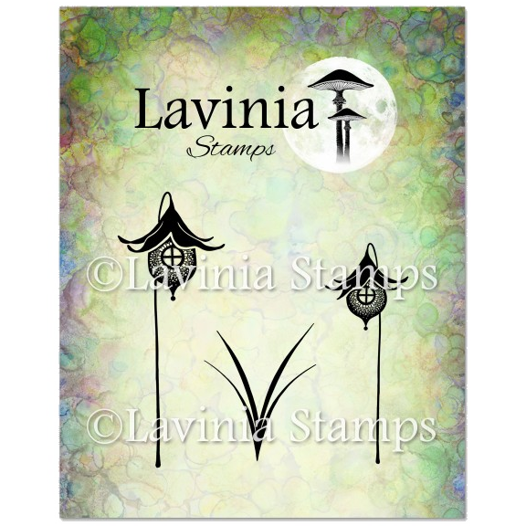 Flower Pods by Lavinia Stamps