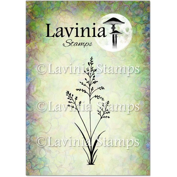 Orchard Grass by Lavinia Stamps