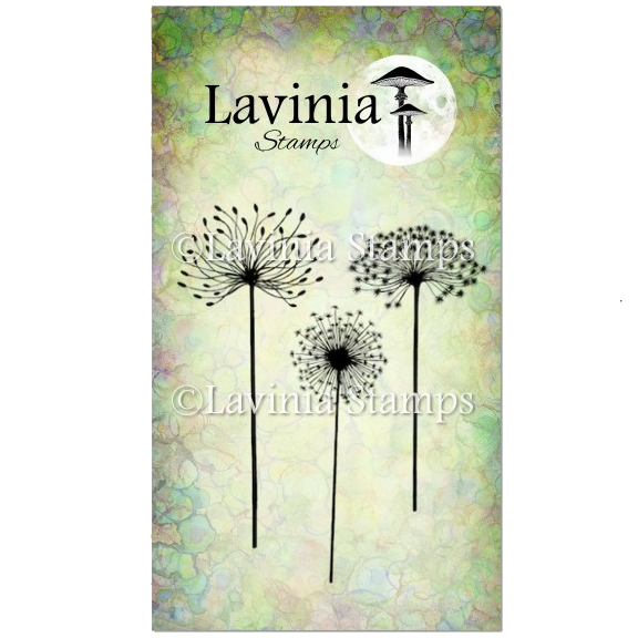 Dandelions by Lavinia Stamps