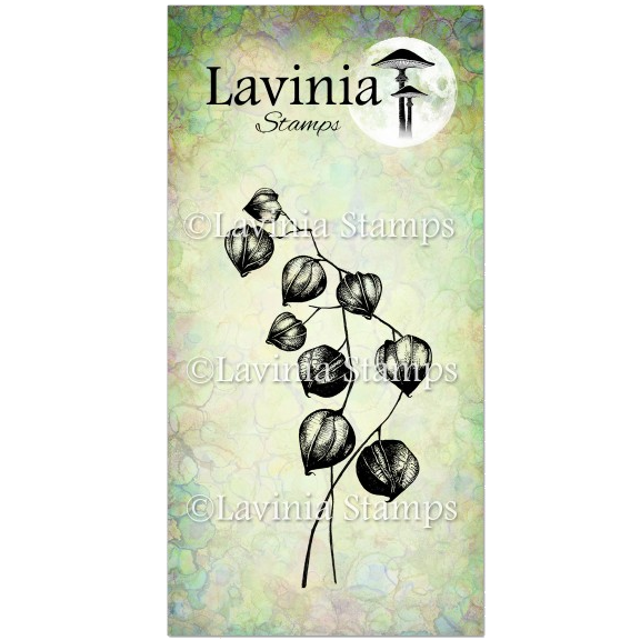 Chinese Lantern by Lavinia Stamps