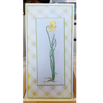 Daffodil Stencil by Sweet Poppy Stencils *Retired*