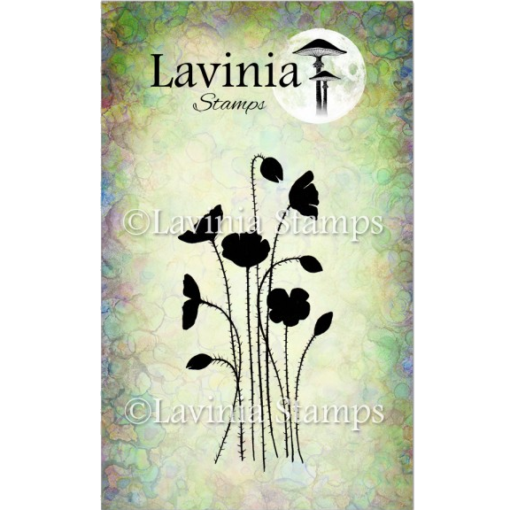 Wild Poppies by Lavinia Stamps