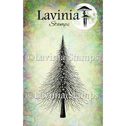 Wild Pine by Lavinia Stamps