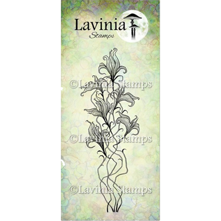 Twilight Lily by Lavinia Stamps
