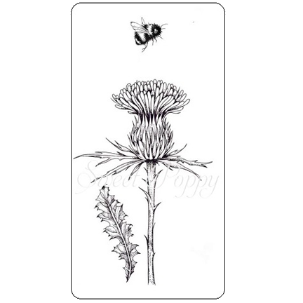 Single Thistle Stamp DL (Small) by Sweet Poppy Stencils