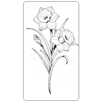 Daffodil sketch - minimalist line drawing. Art Print by Siret Margaret |  Society6