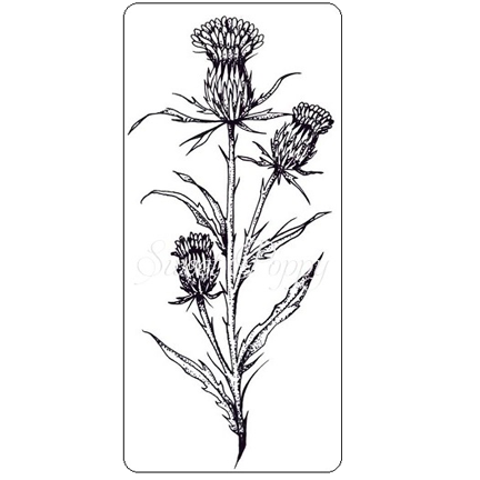 Thistle Stem Stamp DL (Small) by Sweet Poppy Stencils