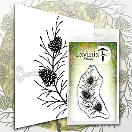 Fir Cone Branch by Lavinia Stamps