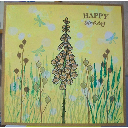Seed Heads by Lavinia Stamps
