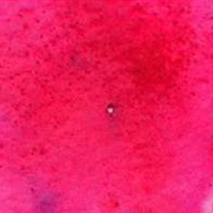 Brusho Crystal Colour, Alizarin Crimson by Colourcraft