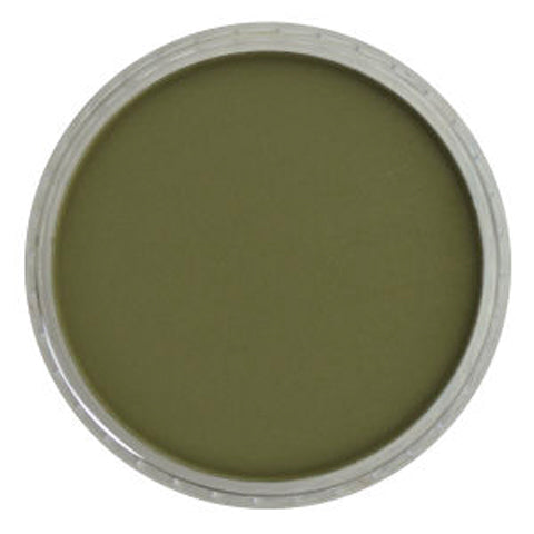 Bright Yellow Green Extra Dark Ultra Soft Pastel, 680.1 by PanPastel