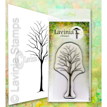 Birch by Lavinia Stamps