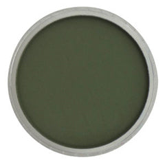 Chromium Oxide Green Extra Dark Ultra Soft Pastel, 660.1 by PanPastel