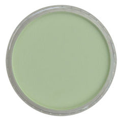 Chromium Oxide Green Tint Ultra Soft Pastel, 660.8 by PanPastel