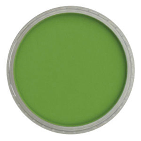 Chromium Oxide Green Ultra Soft Pastel, 660.5 by PanPastel