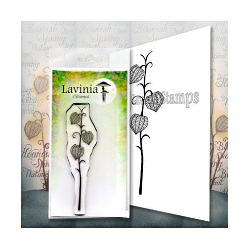Fairy Lantern by Lavinia Stamps