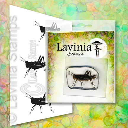 Jiminy (Miniature) by Lavinia Stamps