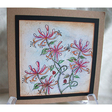 Honeysuckle by Lavinia Stamps