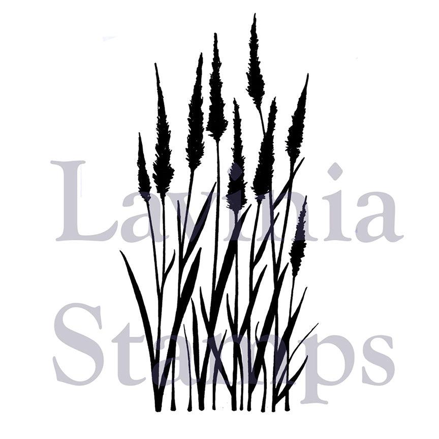 Meadow Grass by Lavinia Stamps