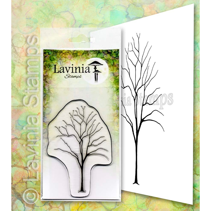 Elm by Lavinia Stamps