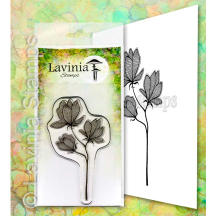 Lilium by Lavinia Stamps