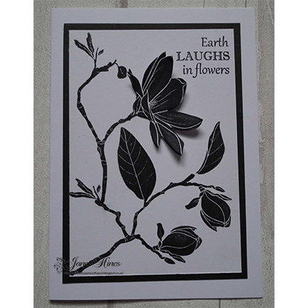Create a Magnolia A6 Stamp Set by Sweet Poppy Stencils *Limited Edition*