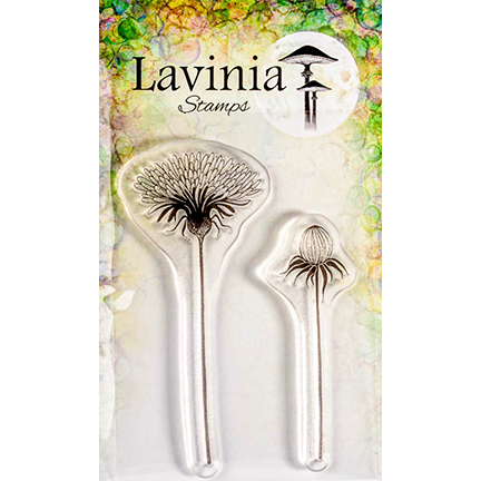 Open Dandelion by Lavinia Stamps