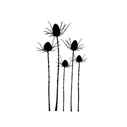 Silhouette Thistle by Lavinia Stamps